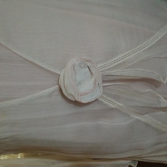 Victorian Trading Company Hopeless Romantic Victorian Pink Chiffon Dress - Picture 4 of 10